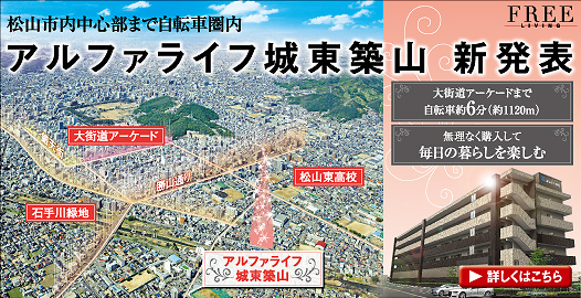 アルファライフ城東築山