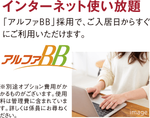 インターネット使い放題