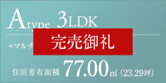 Aタイプ