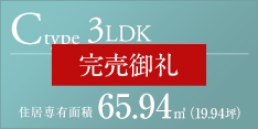 Cタイプ