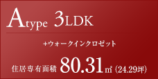 Aタイプ