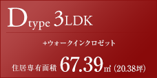 Dタイプ