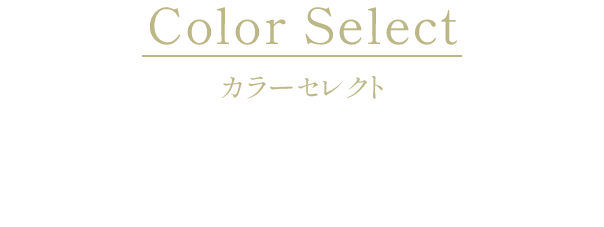 COLOR SELECT