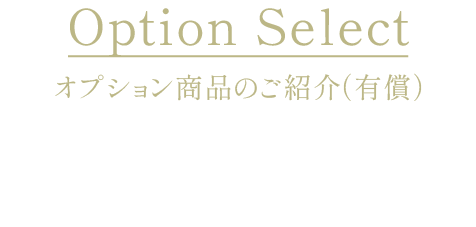 Option Select オプション商品のご紹介（有償）