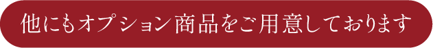 他にもオプション商品をご用意しております