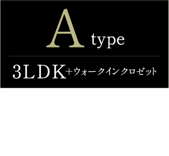 typeA詳細