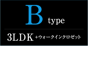 typeB詳細