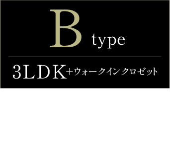 typeB詳細