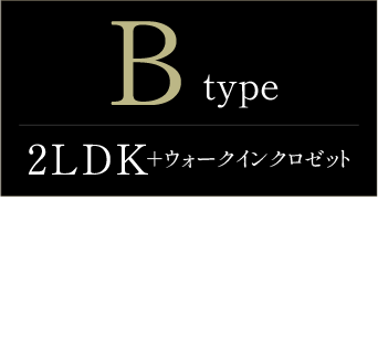 typeB詳細
