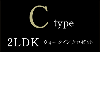 typeC詳細