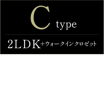 typeC詳細