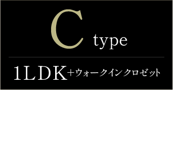 typeC詳細