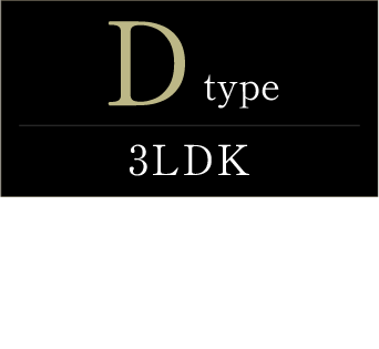 typeD詳細