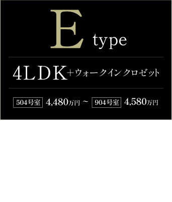 typeE詳細