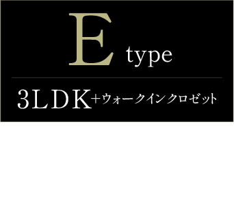 typeE詳細