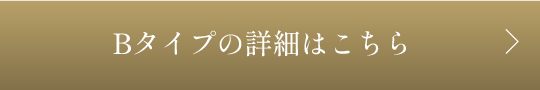 Btypeの詳細はこちら