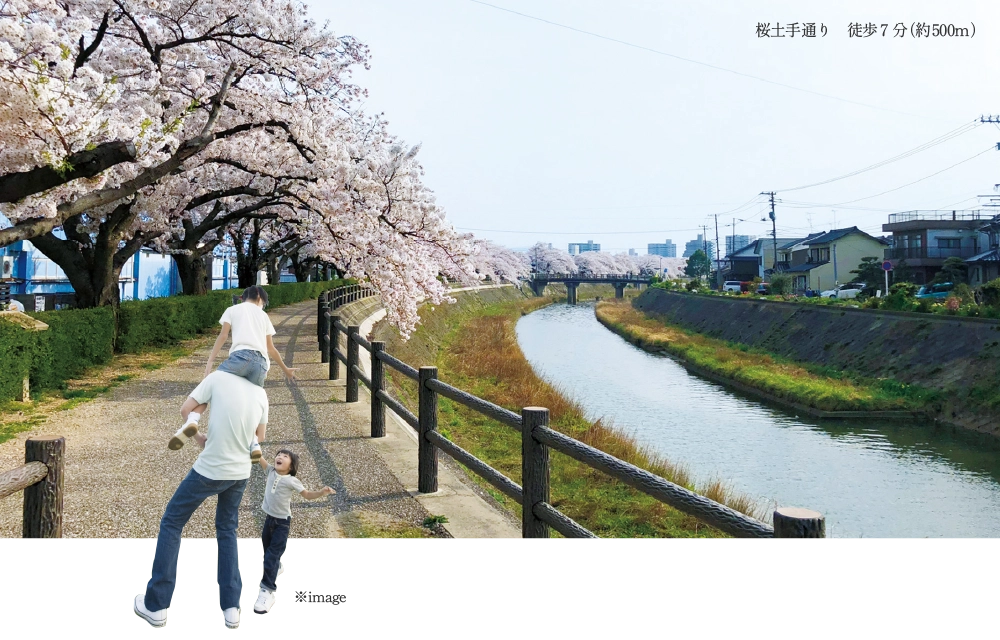 桜土手通りの桜並木と川沿いの遊歩道