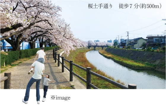 桜土手通りの桜並木と川沿いの遊歩道