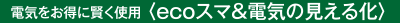 ecoスマ&電気の見える化