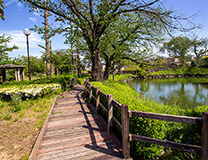 下台池公園