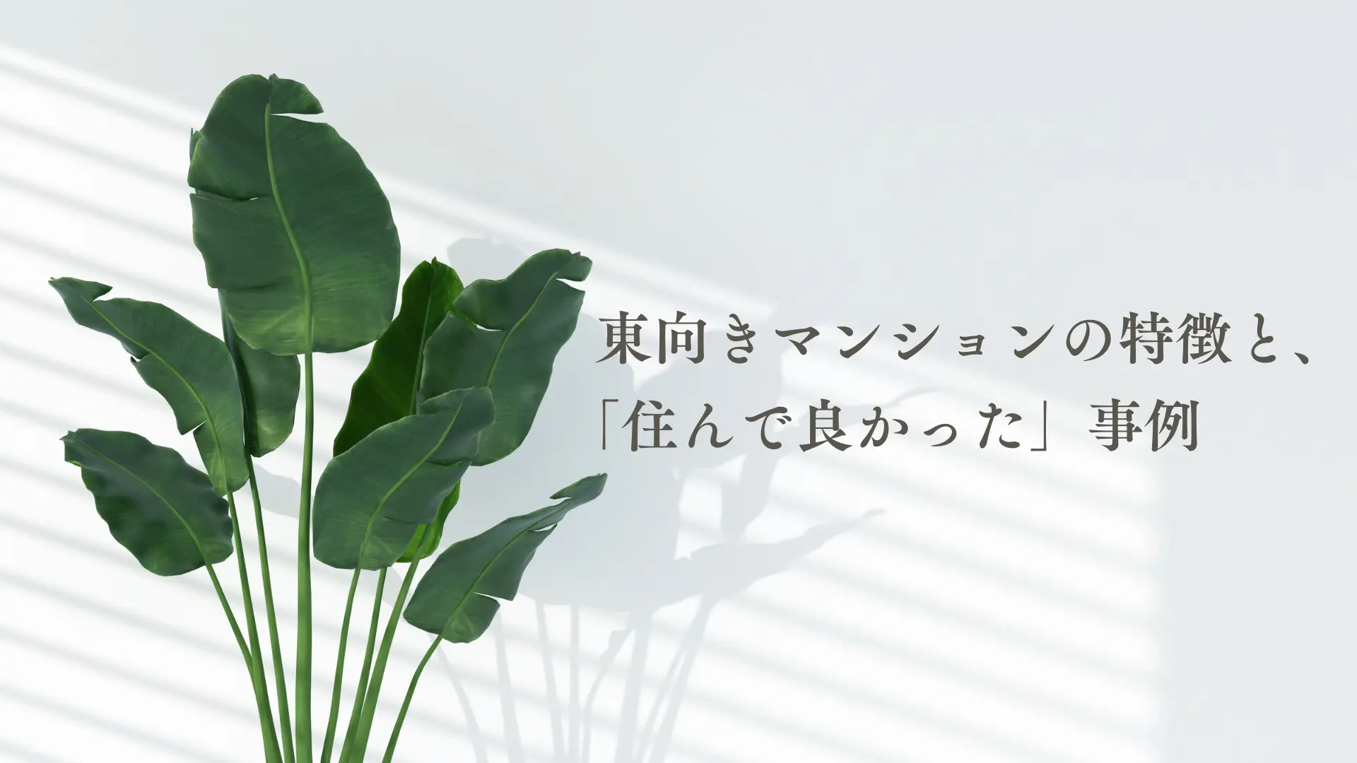 東向きマンションの特徴と、「住んで良かった」事例を紹介します