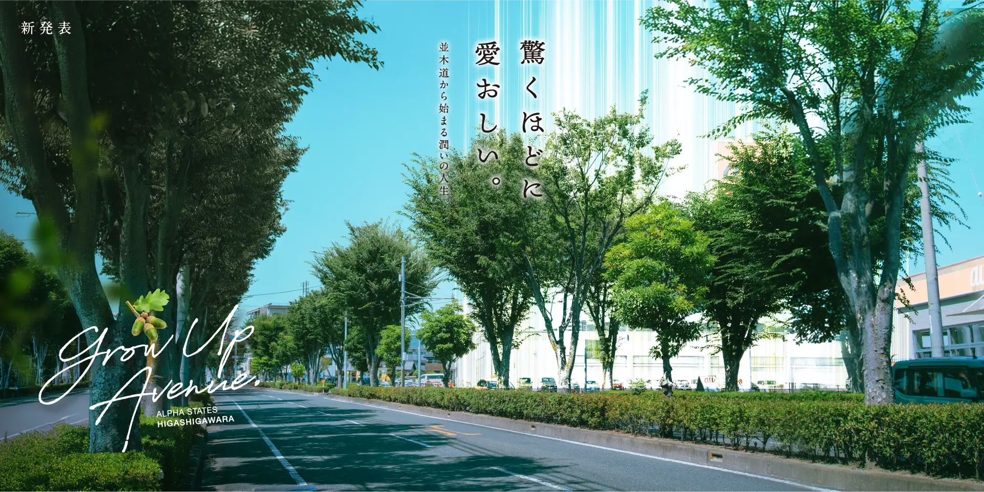 驚くほどに愛おしい。並木道から始まる潤いの人生。