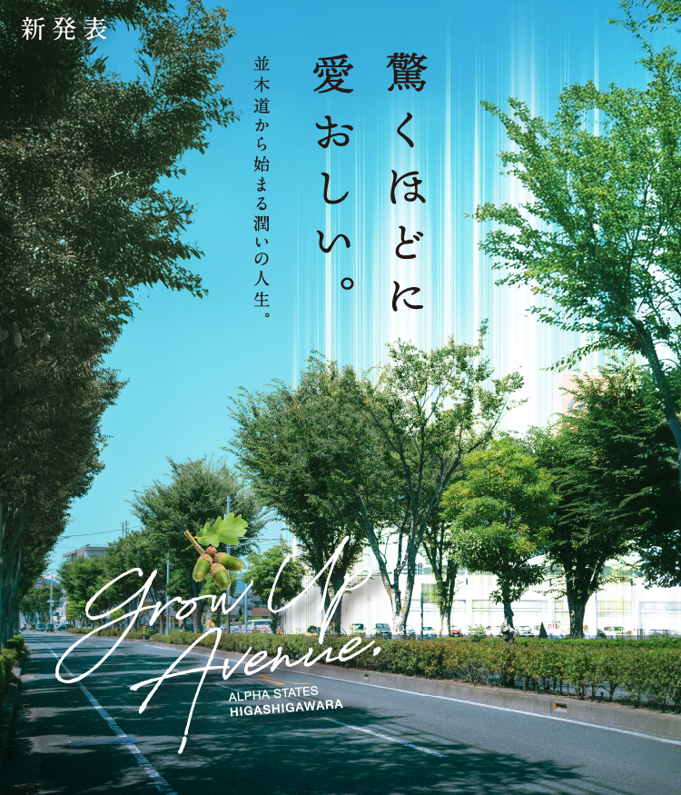 驚くほどに愛おしい。並木道から始まる潤いの人生。
