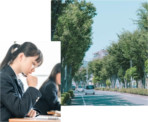 勉強している様子と並木道