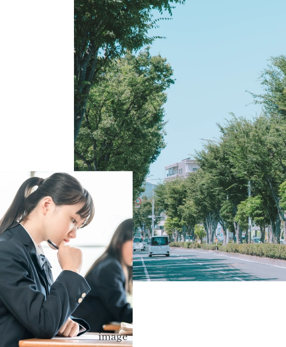 勉強している様子と並木道