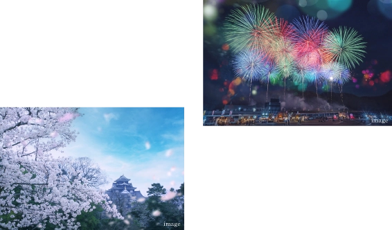 花火と桜の画像