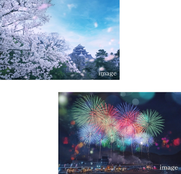 花火と桜の画像