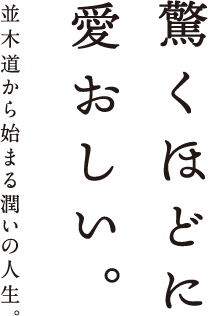 驚くほどに愛おしい。並木道から始まる潤いの人生。