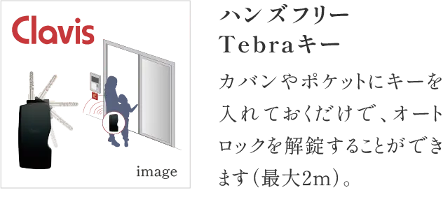 ハンズフリーTebraキー