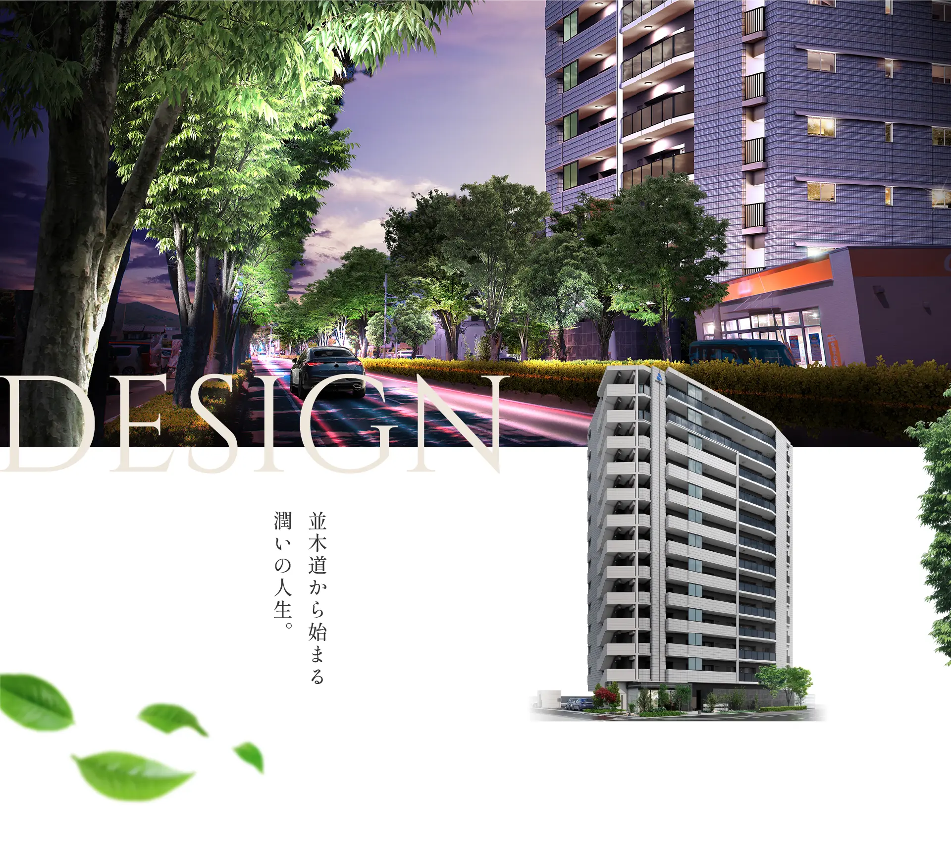 並木道から始まる潤いの人生。