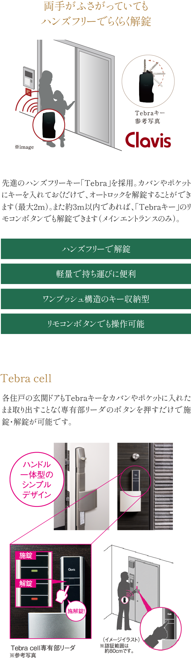 「Tebra」システム