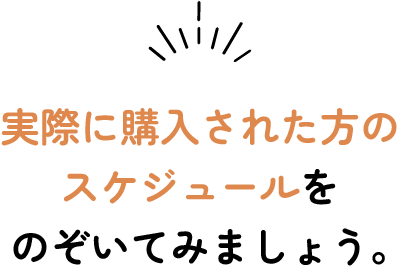 実際に購入された方のスケジュールをのぞいてみましょう。!
