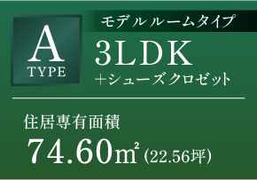 Aタイプ