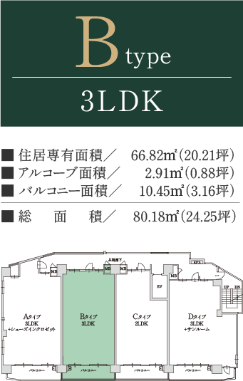 typeB詳細