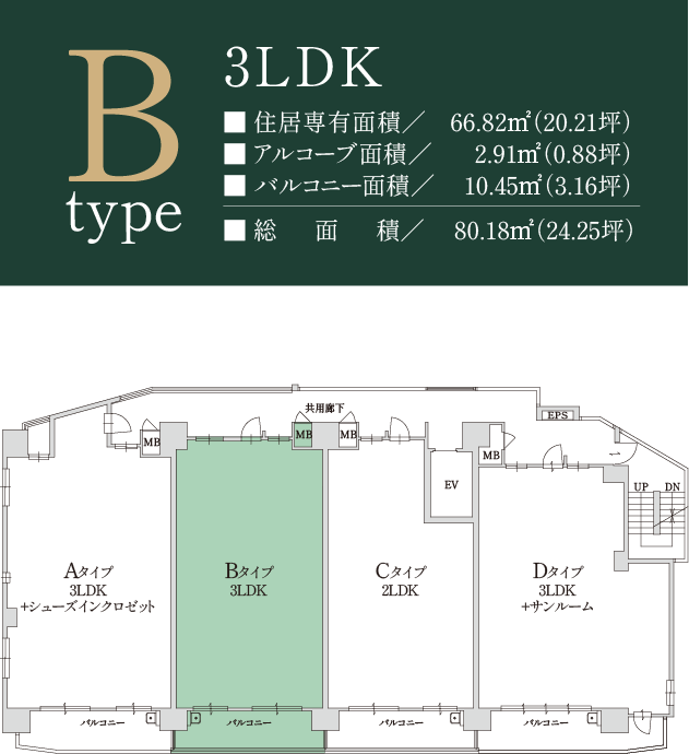 typeB詳細
