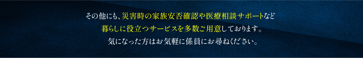 災害時の家族安否確認や医療相談サポート