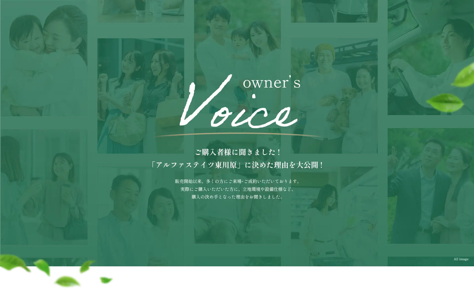 owner's Voice