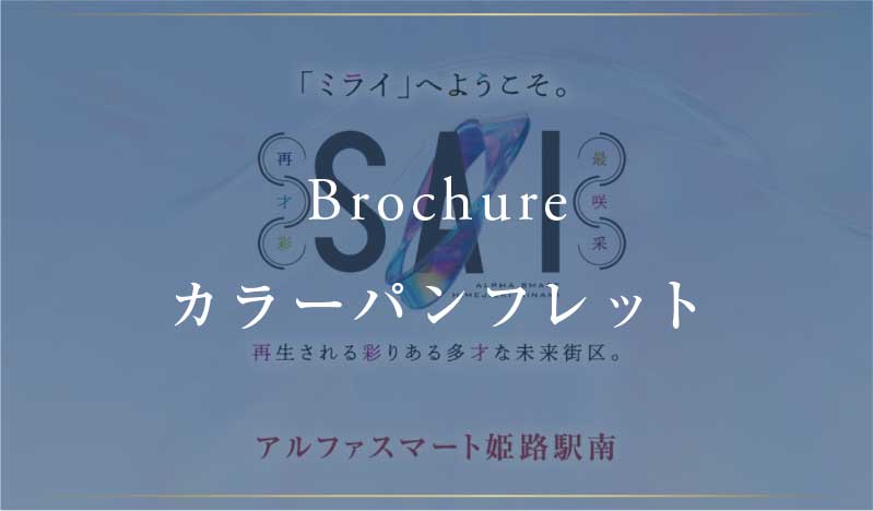カラーパンフレット