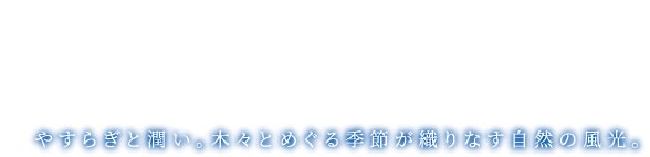 やすらぎと潤い。木々とめぐる季節が織りなす自然の風光。