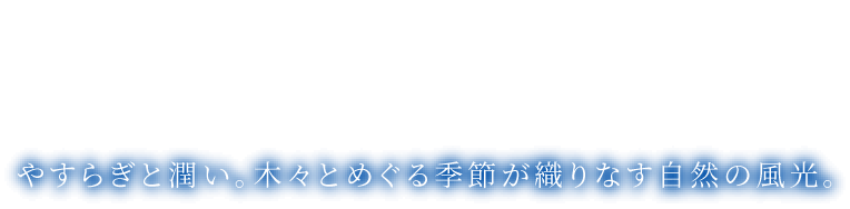 やすらぎと潤い。木々とめぐる季節が織りなす自然の風光。