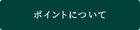 ポイントについて