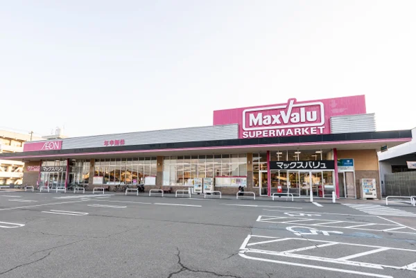 マックスバリュ 西の土居店