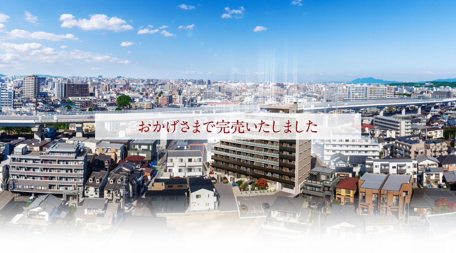 おかげさまで完売いたしました
