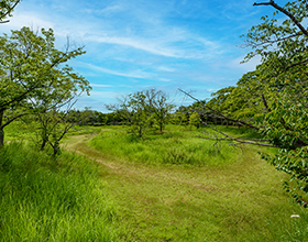さくら公園 徒歩約13分（約1,010ｍ）
