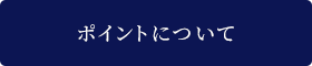ポイントについて