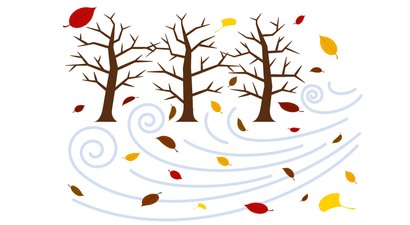 外気温が低く乾きにくい時期